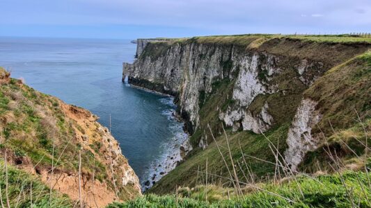 RSPB Bempton Cliffs 3